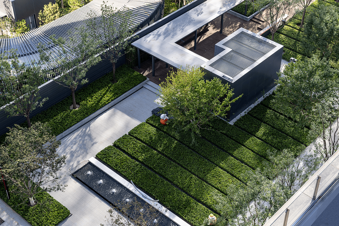 2 © 栾·摄影.png