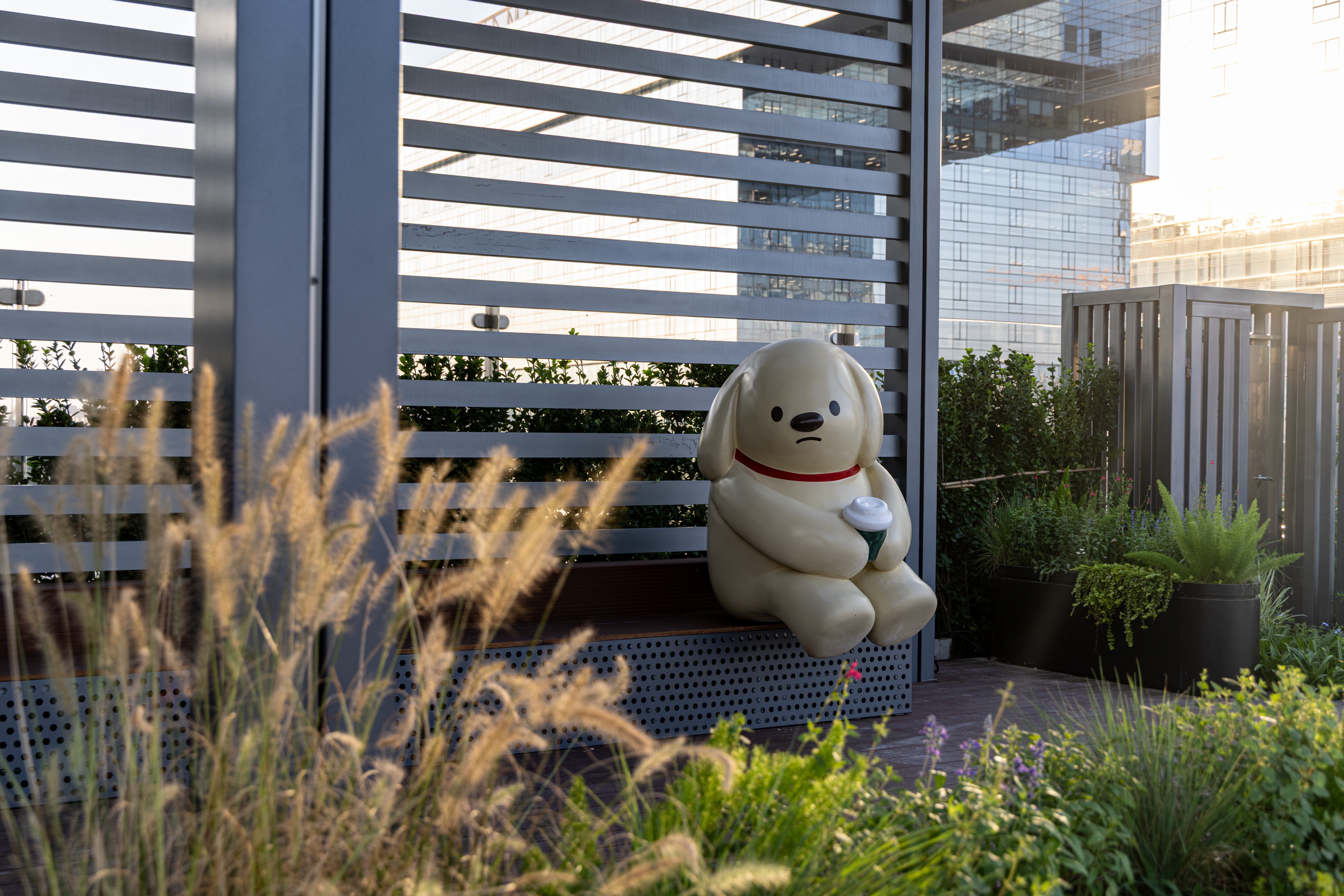 33 © 栾·摄影.jpg