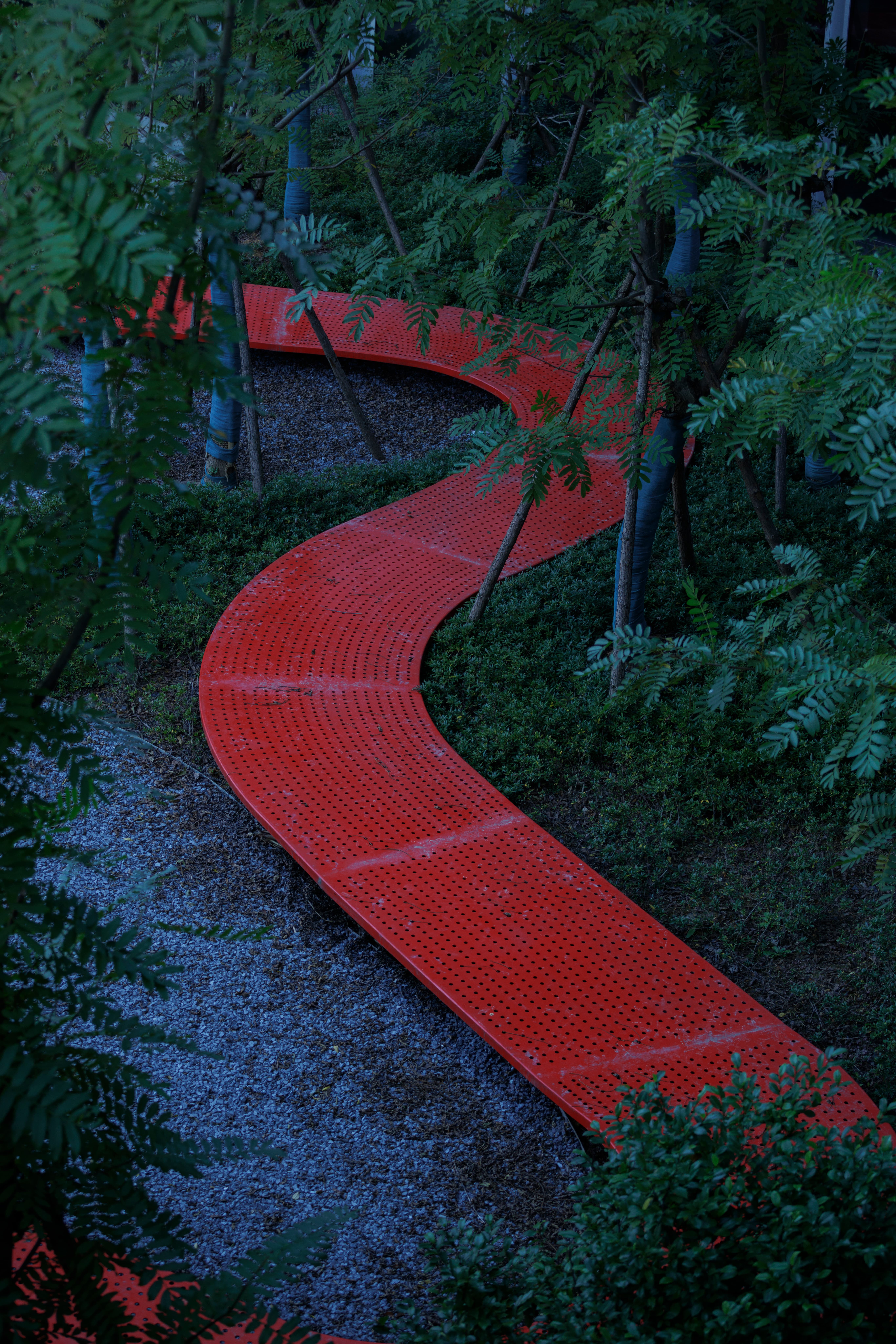 53 © HOLI河狸景观摄影 (1).jpg